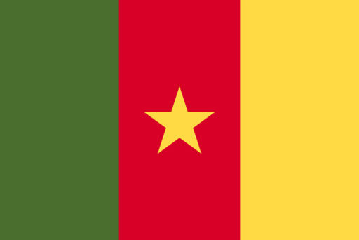 Cameroon Flag