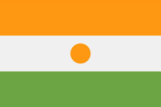 Niger Flag