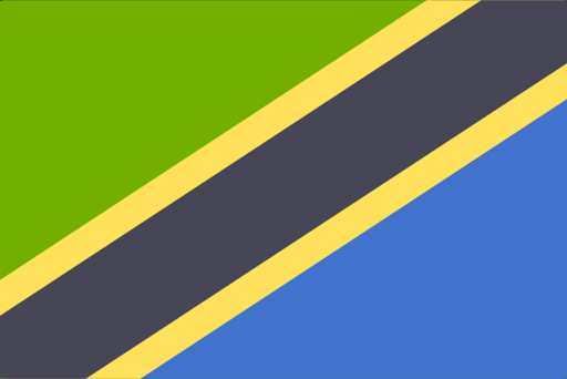 Tanzania Flag